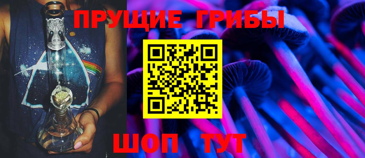 Псилоцибиновые грибы Cubensis  Галлюциногенные грибы ЛСД  Вход с VPN  Заводоуковск 