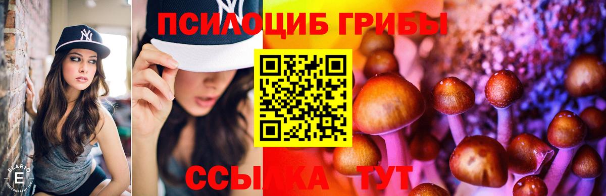 Галлюциногенные грибы Magic Shrooms Заводоуковск
